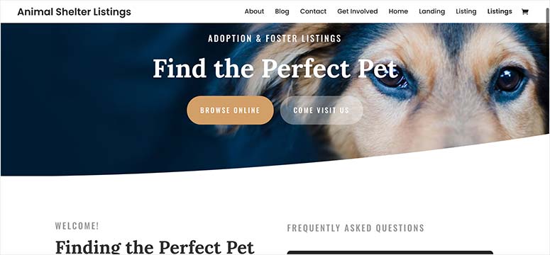 Divi - IsItWP - Detector de temas de WordPress gratuito