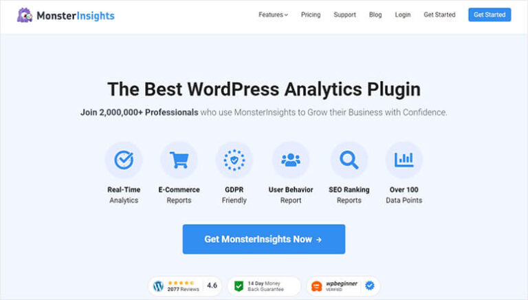 MonsterInsights - IsItWP - Detector de temas de WordPress gratuito