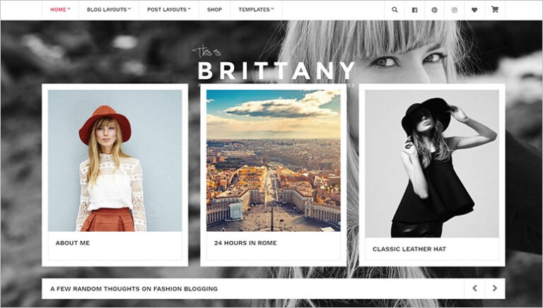 Brittany - IsItWP - Detector de temas de WordPress gratuito