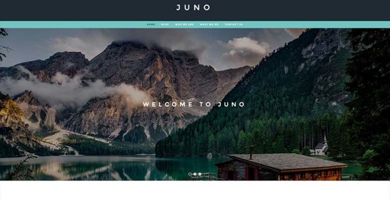 Juno - IsItWP - Detector de temas de WordPress gratuito