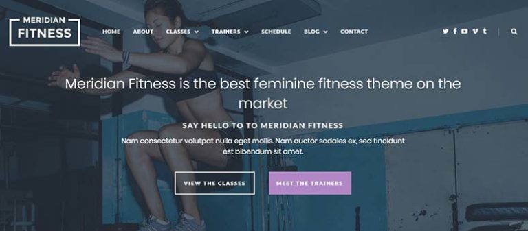 Fitness - IsItWP - Detector de temas gratuito de WordPress