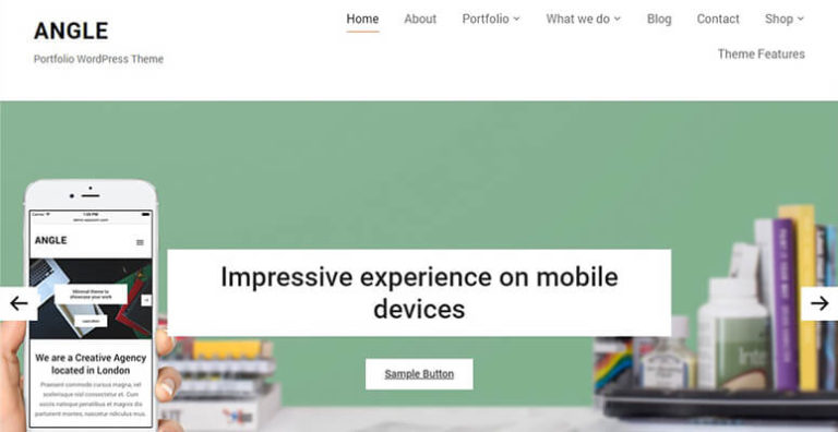 Angle - IsItWP - Detector de temas de WordPress gratuito