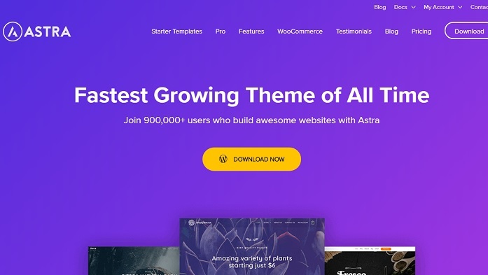 Elegante - IsItWP - Detector de temas gratuito de WordPress