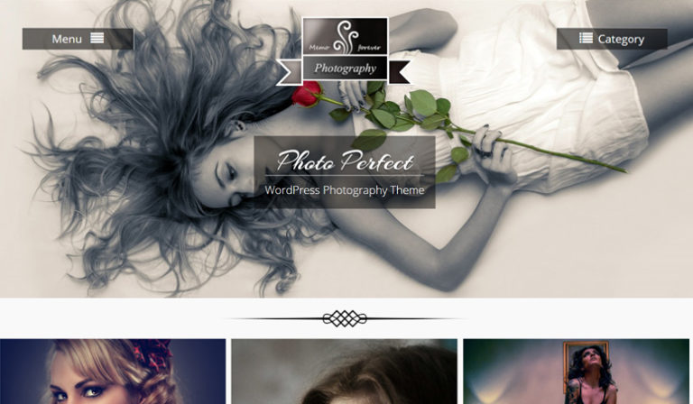 photo-perfect-wordpress-the - IsItWP - Detector de temas de WordPress gratuito