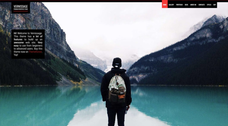 Las 15 mejores plantillas para sitios web de fotografía profesional 11